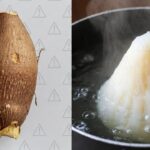 Cassava/Tapioca Warning: Why It Must Be Cooked Thoroughly (Cyanide)