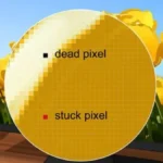 Dead Pixels: Can You Fix a Stuck Pixel on Your Monitor?