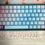 Mechanical Keyboards: Why Everyone is Obsessed with "Clicky" Keys