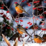 The Winter Fruit That Keeps Robins Coming Back to Your Garden